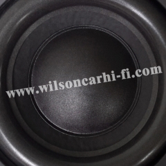 10 inch Subwoofer