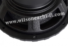 12 inch Subwoofer