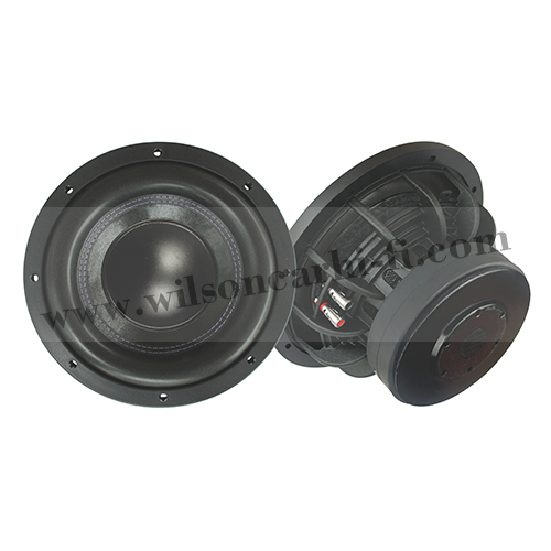 12'' New design subwoofer