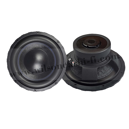 12'' New design subwoofer