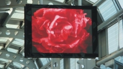 advertising outdoor led screen display p10 high brightness led displays