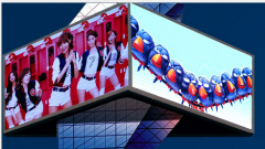 RGB  LED displays screen outdoor Commercial advertising LED displays