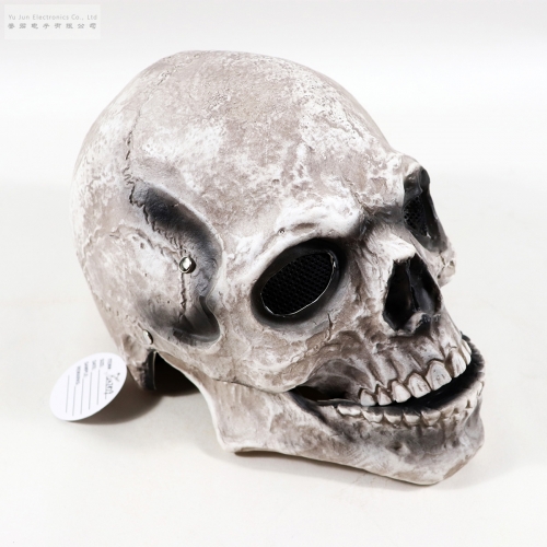 Halloween Skull Full Mask