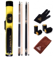 Yellow Case with Pool Cues
