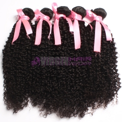 Hot selling  from one donor brazilian kinky curly hair weave
