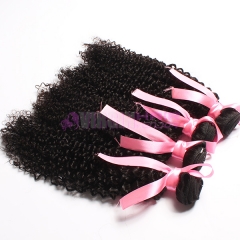 Wholesale price  top remi virgin malaysian hair extensions