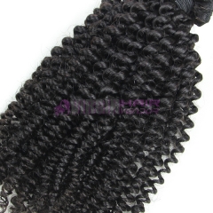 Good grade 8-30 inch Wholesale price Long Lasting Tangle free Kinky curly hair