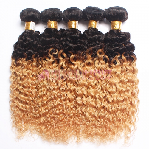 Cheap curly Malaysian hair weave,ombre hair weaves,factory price Malaysian hair