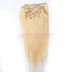 Clip In Virgin Brazilian Straight Hair Clip In Human Hair Extensions #24 Color Clip In Hair Extension