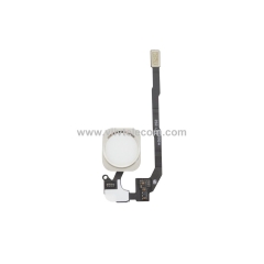 Home Button Flex Cable and Touch Fingerprint ID Sensor For iPhone SE & 5S - White/Silver