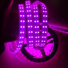 5050 120leds/m led strip