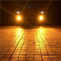 35W Fog Lamp