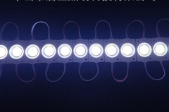 COB LED Module