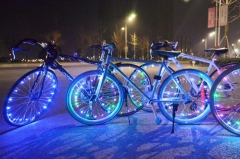 Bicycle Spoke light