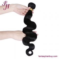 FH Raw Brazilian Hair Body Wave Hair Bundle