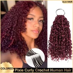【Colored Feather Crochet Hair】Pixie Curly #2 #4 #99J #27 #30 Color Micro Ring Loop Crochet Soft Human Hair Extension 5pcs/pack (150g) ULH259