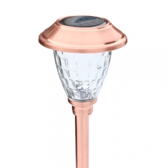 Solar Pathway Light