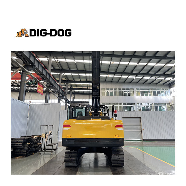 DIG-DOG China Best Service Hydraulic DR-60 60kN*m Portable Rotary Drilling Rigs