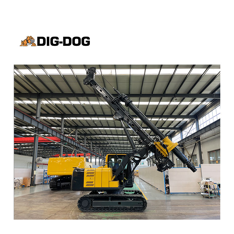 DIG-DOG High Quality DR-45 45kN*m Portable Rotary Drilling Rigs For Sale