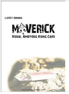 2011 Lloyd Barnes-Maverick