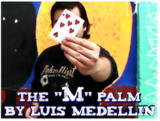 2014 The M Palm by Luis Medellin