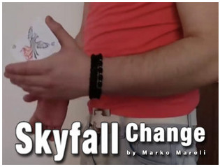 2014 Skyfall Change by Marko Mareli