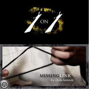 Missing Link by Chris Kenner
