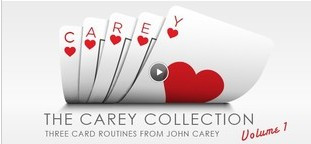 Vanishing John Carey Collection 1-2