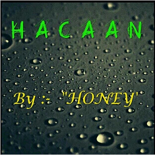 HACAAN by Honey