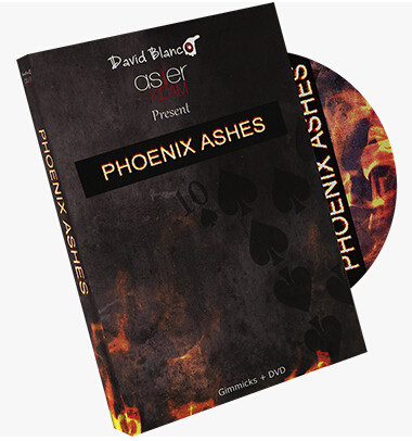 Phoenix Ashes by Asier Kidam