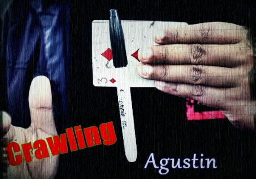 Crawling by Agustin