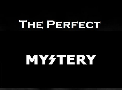 The Perfect Mystery by Johnny Silver