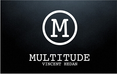 2015 Multitude by Vincent Hedan & System 6