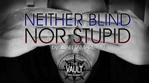 Neither Blind Nor Stupid by Juan Tamariz