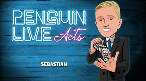 Sebastian Penguin Live ACT