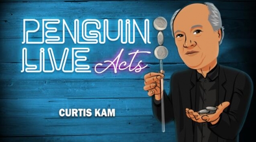 Curtis Kam Penguin Live ACT