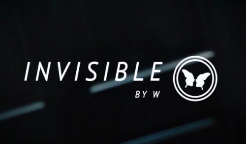 Invisible by W