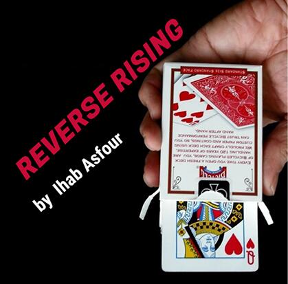 Reverse Rising by Ihab Asfour