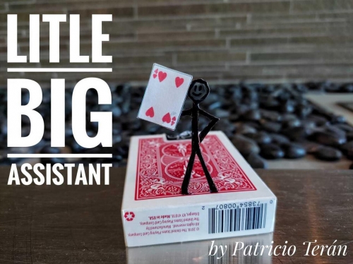 Little Big Assistant by Patricio Teran