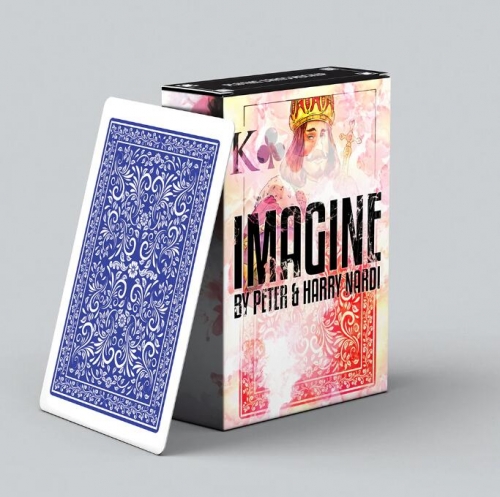 Imagine by Peter and Harry Nardi