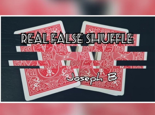 REAL FALSE SHUFFLE by Joseph B.