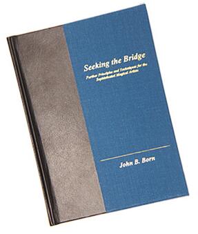 Seeking The Bridge by John Born