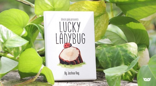 Lucky Ladybug by Joshua Ray