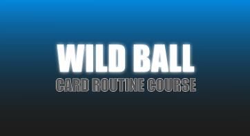 Wild Ball by Craig Petty