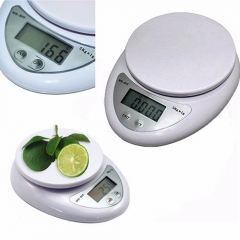 WH-B05 5kg Capacity LCD Digital Electronic Scales