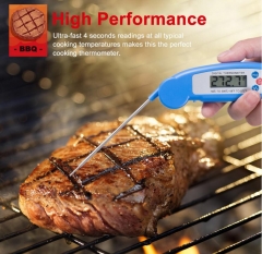 DT-01 Digital Thermometer