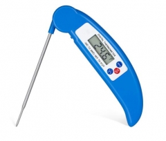 DT-01 Digital Thermometer