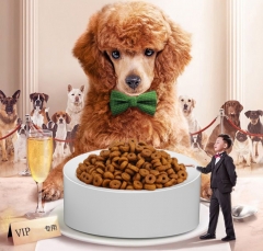 Bowl Pet Scale 2kg/0.1g Food controller