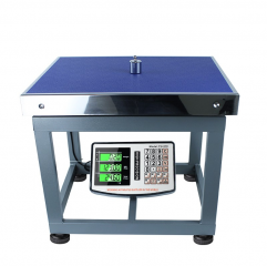 Chair Shape Stable Performance Platform Scale Weighing