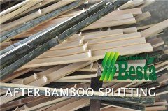 Bamboo Splitting Machine (ZP-2500S), Double End Splitting Machine